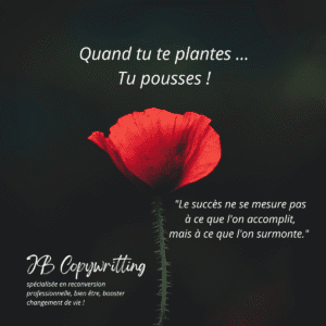 Post Instagram avec fond noir et coquelicot éclatant, citation “Quand tu te plantes, tu pousses” et “Le succès ne se mesure pas à ce que l’on accomplit mais à ce que l’on surmonte”. Création de Julie Borel pour JB Copywriting.