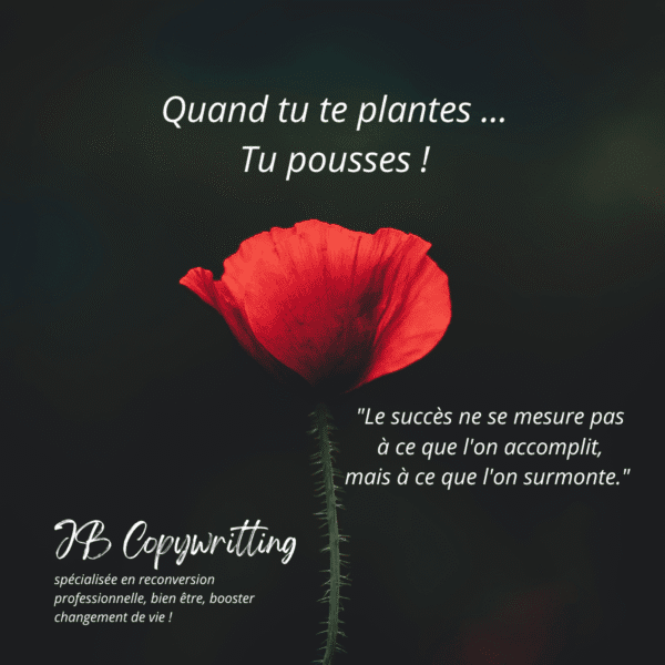 Post Instagram avec fond noir et coquelicot éclatant, citation “Quand tu te plantes, tu pousses” et “Le succès ne se mesure pas à ce que l’on accomplit mais à ce que l’on surmonte”. Création de Julie Borel pour JB Copywriting.